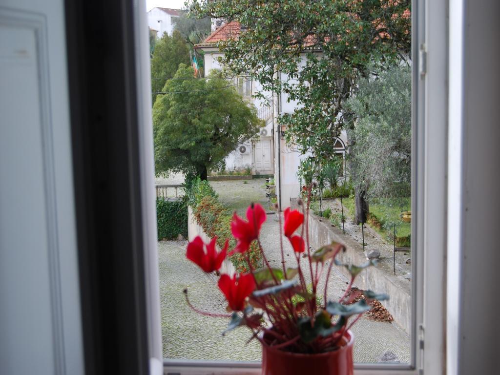 Adore Portugal Coimbra Guest House Zewnętrze zdjęcie